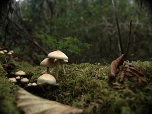 Evelio Sánchez-FLICKR