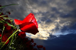 javier ruiz77-FLICKR
