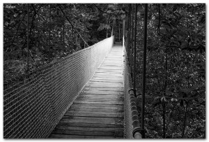 .Robert.-FLICKR