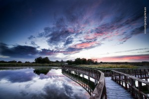 Miguel Aguilera FLICKR