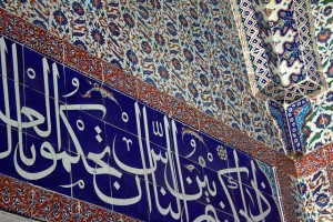 Catarina-Mastellaro-FLICKR