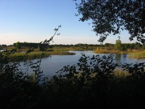 Daniel Lombraña González (Flickr)