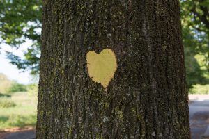 Leonardo Pegoraro-FLICKR