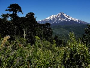 Javier Ignacio Acuña Ditzel (Flickr)