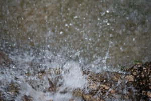 Sebástian Freire-FLICKR