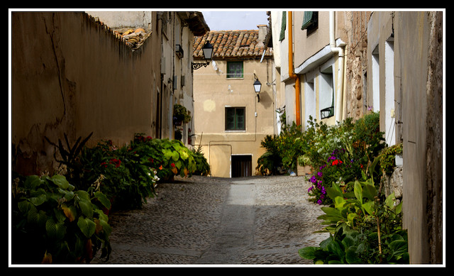 Sergio-FLICKR