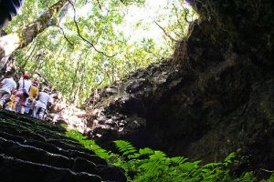 Ulrich Thumult (Flickr)