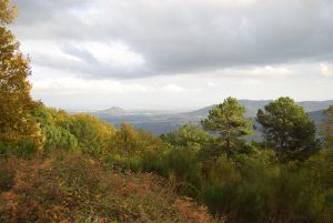 topsportholidays.com 2 (Flickr)