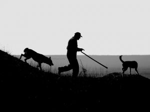 Alfonsobenayas-FLICKR