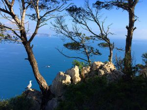 Folker Davids (Flickr)