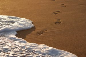 Cristian Meneghin-FLICKR