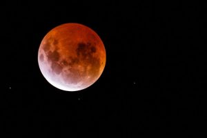 Scott Cresswell-FLICKR