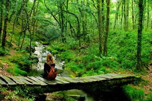 Ruta del Silencio-Turismo y Cultura Asturias