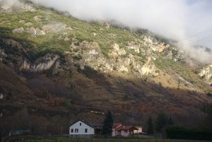 Aleksandr Zykov-FLICKR