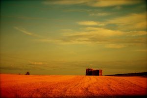 Elvira Nimmee-FLICKR