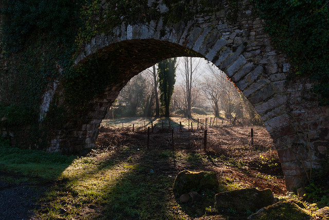 Oscar F. Hevia-FLICKR