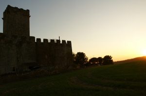 Ferran Llorens-FLICKR