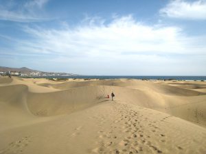 Lars Johansen-FLICKR