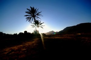 Luis Alberto Martinez Riancho-FLICKR