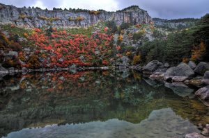 cdepedro64-FLICKR