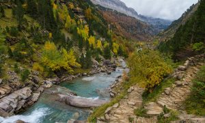 Jesús Alenda-FLICKR