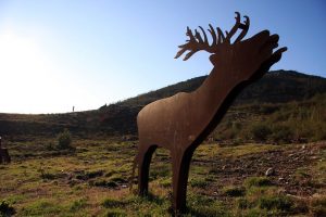 Bota de Chaplin-FLICKR