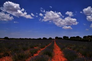 Marcela Escandell-FLICKR