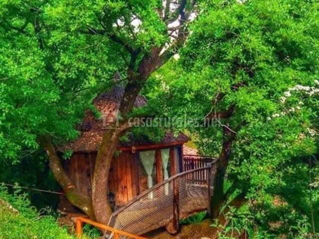 Cabaña en el Árbol-Casasrurales.net