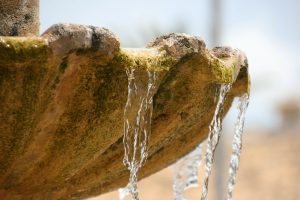 mafch2001_photo-FLICKR