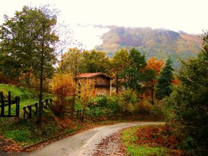 Caminando por asturias