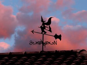 jacinta lluch valero-FLICKR