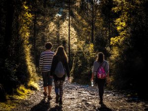 Phil Fiddyment-FLICKR