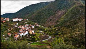 Guillén Pérez-FLICKR