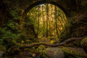 david vazquez-FLICKR