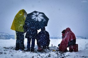 Gatol fotografia-FLICKR