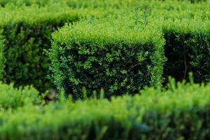 @ondasderuido-FLICKR