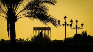 CANAL SUR MEDIA-FLICKR