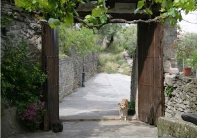 Camino de acceso a la casa