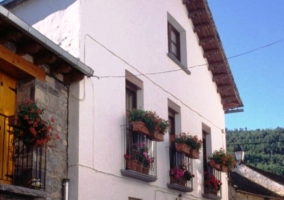 Fachada blanca con ventanas y macetas