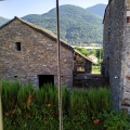 IMG_20190818_090407609.jpg