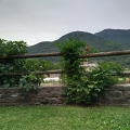 IMG_20190821_200211040.jpg