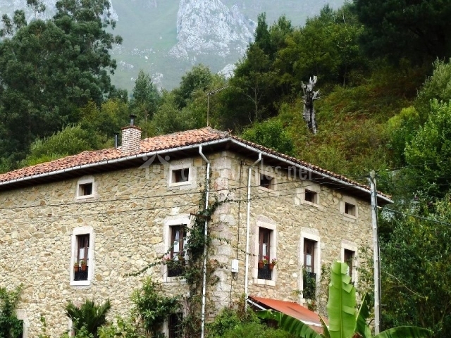 Casa La Valleja - Ruenes (Asturias)