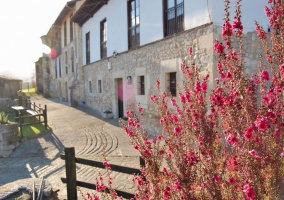 Fachada con flores rosas