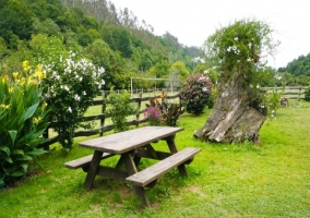 Mesa de picnic