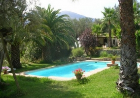 Vistas de la zona del jardín con palmeras