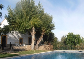 Piscina con zona de árboles y césped