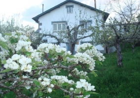 Acceso a la casa con flores en el exterior