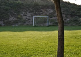 Campo de fútbol con césped natural