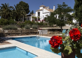 Dos piscinas con flores rojas