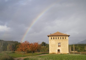 Salón comedor con paredes de piedra